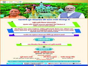 गोरखपुर विकास